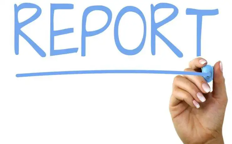 SEO Reports: Rankings, Metrics, Insights 12 SEO Reports – What Rankings and Metrics to Include, and What They Mean