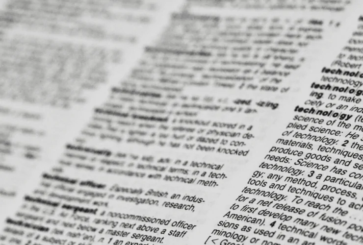 Dictionary Feature