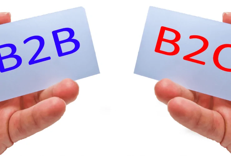 B2B vs B2C E-commerce Thumbnail