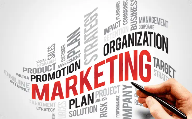 When Should You Hire a Digital Marketing Agency? | Ecommerce Insights 5 When Should You Hire a Digital Marketing Agency Thumbnail