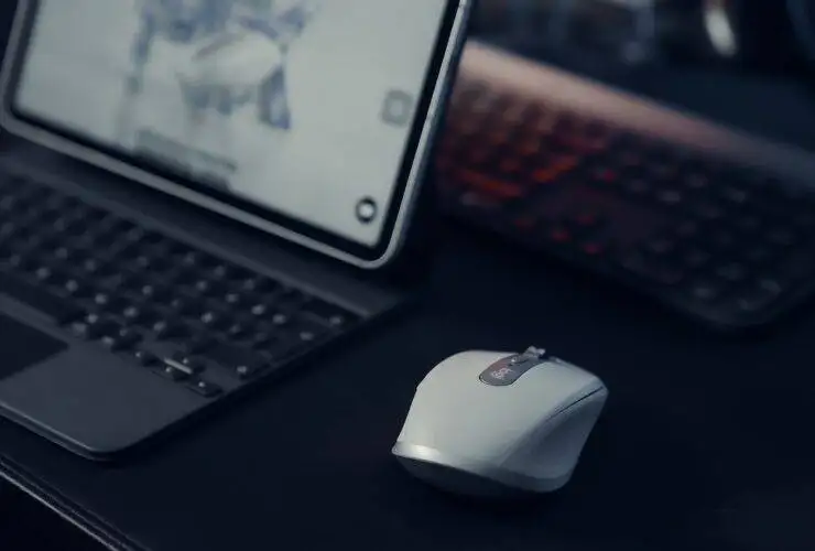 Computer moue with laptop