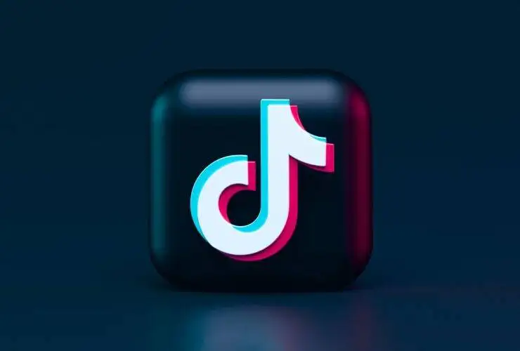 A Tiktok log