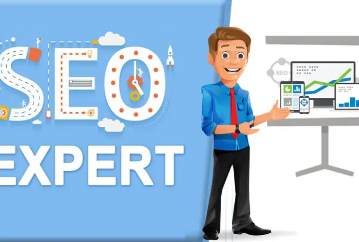 What does an expert SEO specialist do?