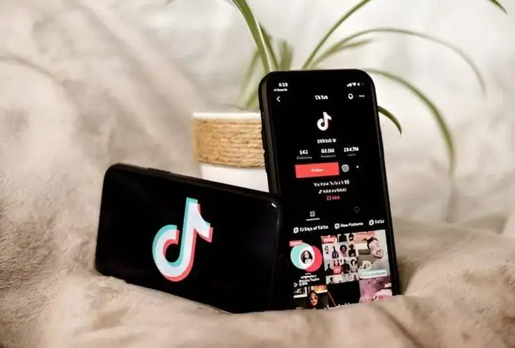 A pair of two smartphones that are displaying the tiktok logo placed on vertically and horizontally placed on a pot plant placed on a warm fuzzy blanket