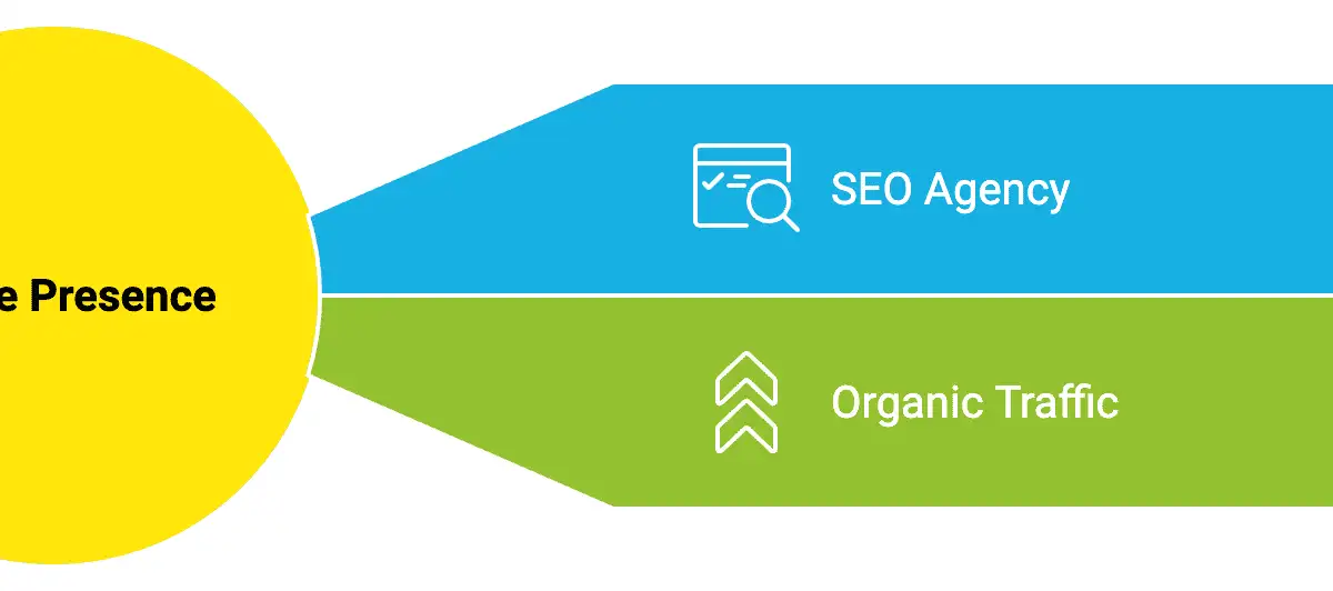 The Ultimate Guide to SEO Agency in South Africa 2024 2 napkin selection 12 Syte
