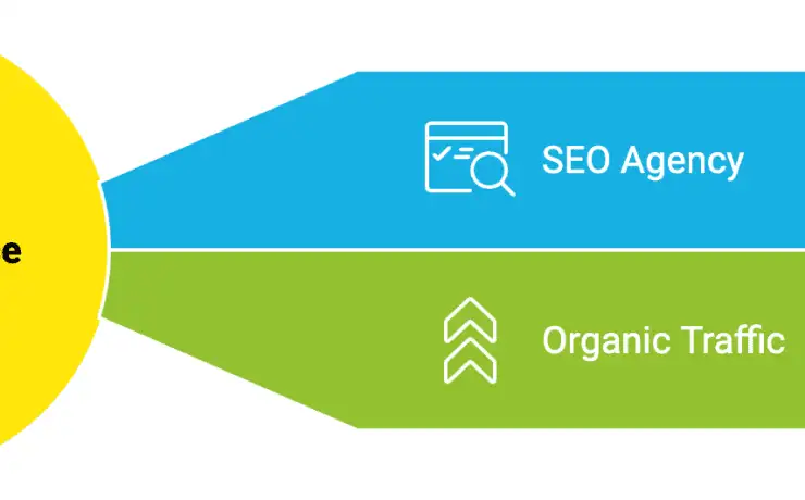 The Ultimate Guide to SEO Agency in South Africa 2024 17 napkin selection 12 Syte
