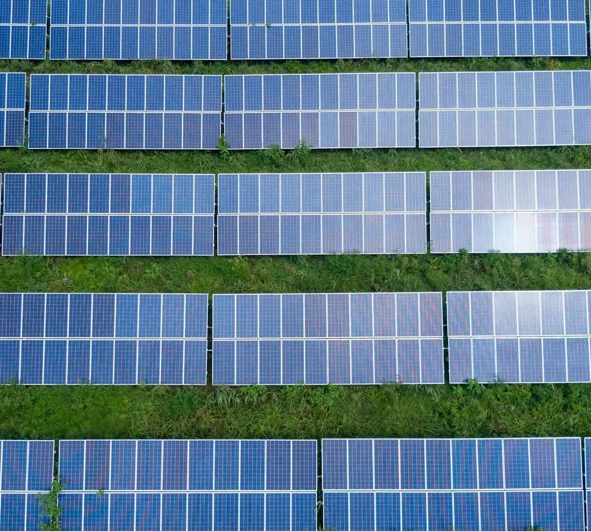 Best Google Ads Strategies for Solar Companies in 2024 2 pexels kelly 1179532 2800832 Syte