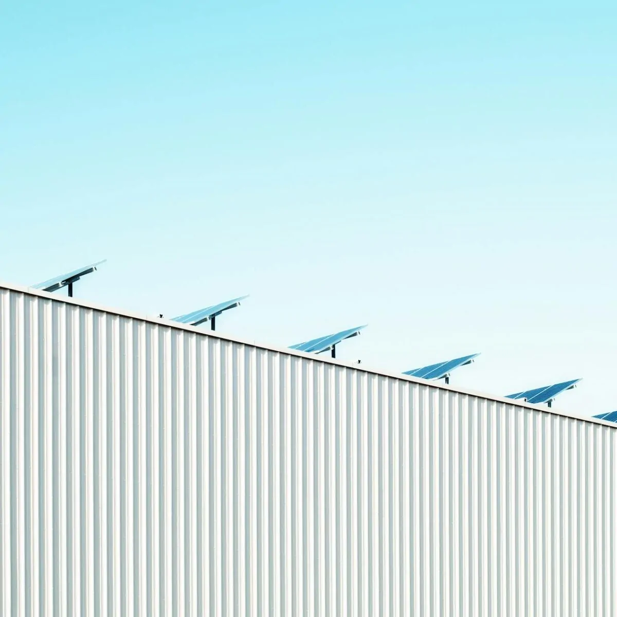 pexels scottwebb 137602 Syte